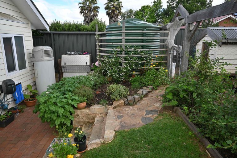 Balhannah - Garden and chook area